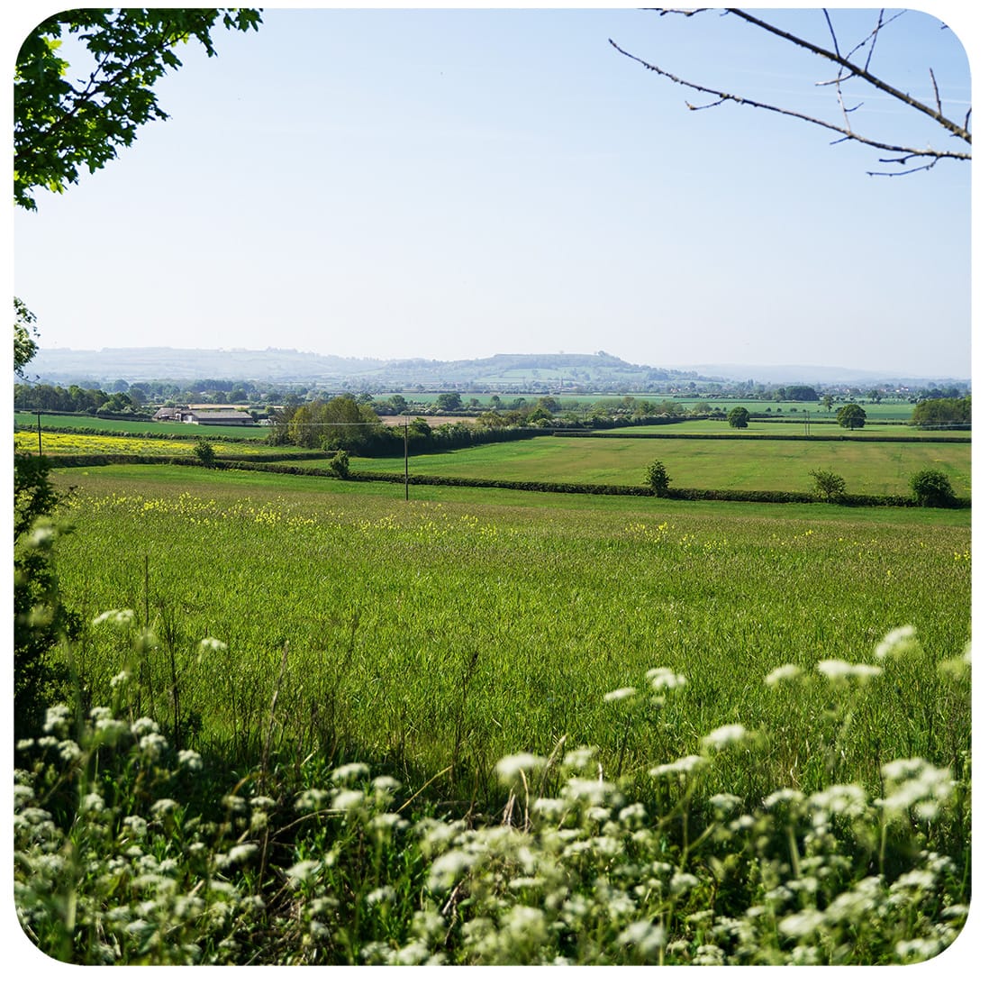 Revive Restore Repair Countryside