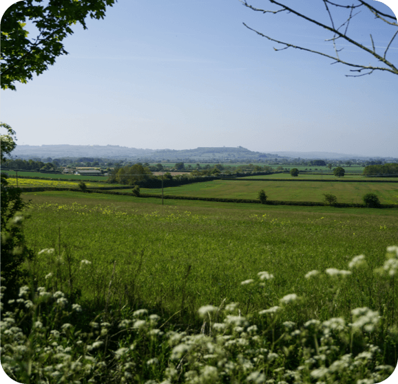 Wellness Barn Countryside